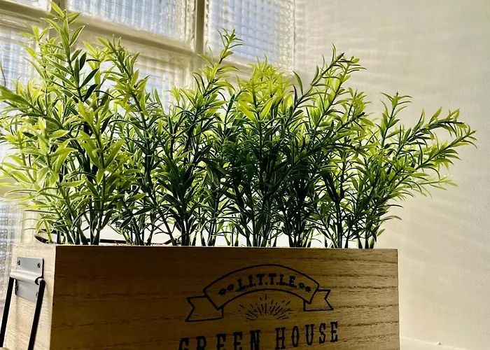 Le Gambetta - 2 - Place Verdun Apartment Tarbes